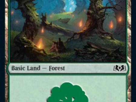 Forest (0276) [Wilds of Eldraine] on Sale